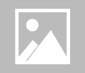 lol中国总决赛-包含休斯敦火箭迎国王杯关键赛，今晚止住颓势，底气十足，训练强度明显提升的词条